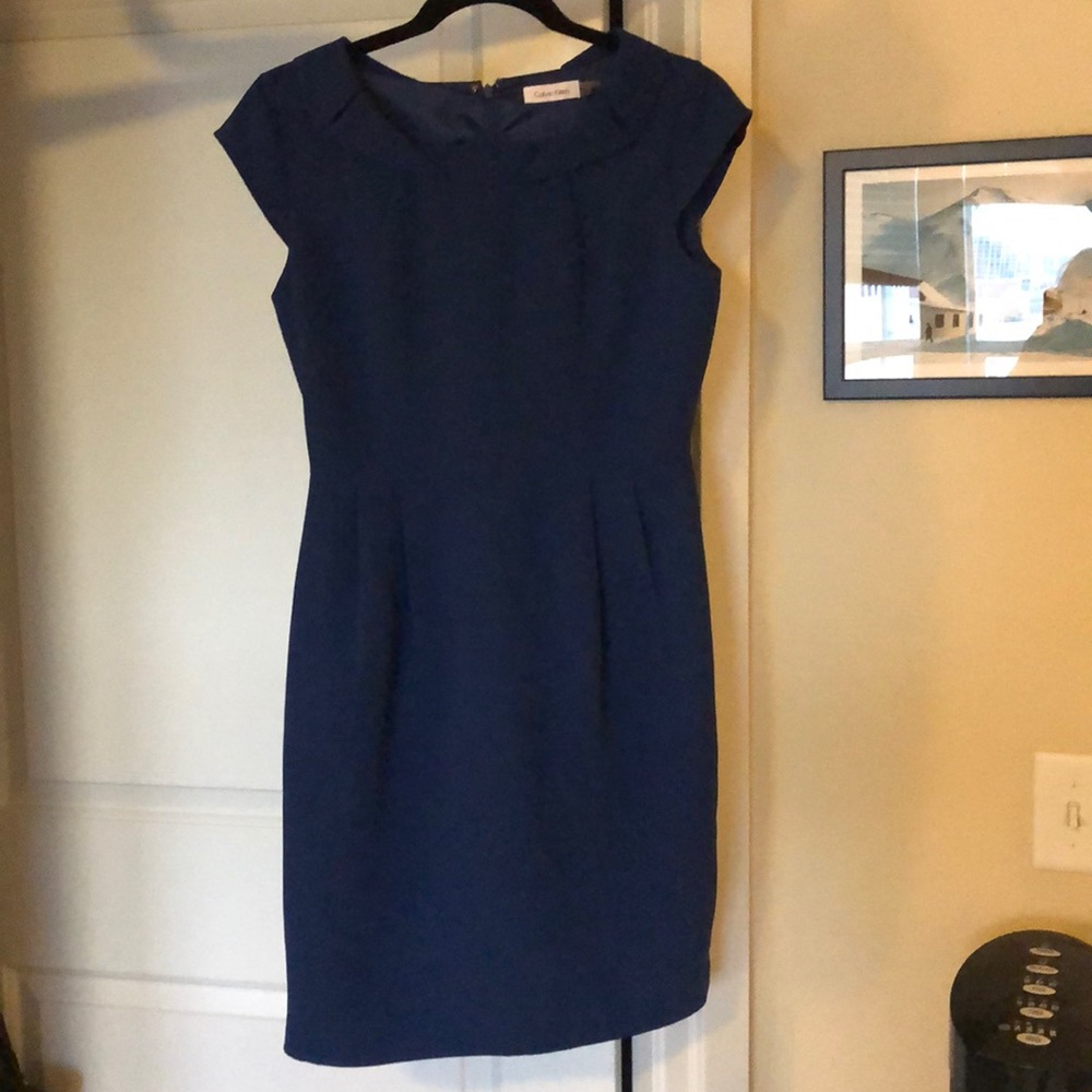 Calvin Klein professional blue dress